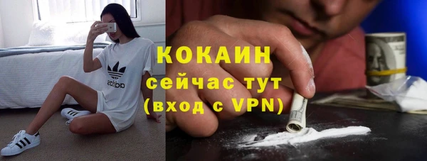 ГАЛЛЮЦИНОГЕННЫЕ ГРИБЫ Медногорск