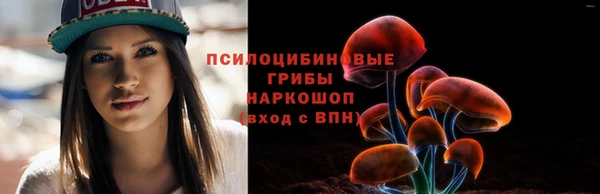 меф Медвежьегорск