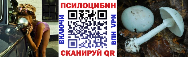 Псилоцибиновые грибы мицелий  дарнет шоп  Мураши 